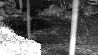 Still 2 from this detection