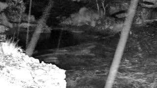 Still 1 from this detection