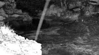 Still 2 from this detection