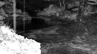 Still 3 from this detection