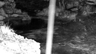 Still 3 from this detection