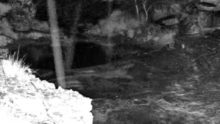 Still 2 from this detection