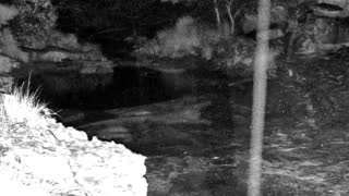 Still 2 from this detection