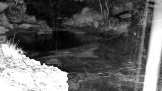 Still 3 from this detection