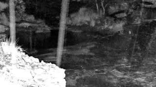 Still 1 from this detection