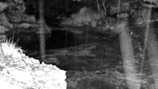 Still 3 from this detection