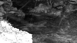 Still 2 from this detection
