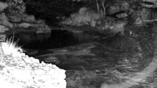 Still 3 from this detection