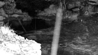 Still 1 from this detection