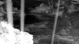 Still 2 from this detection