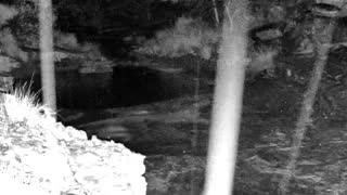 Still 1 from this detection