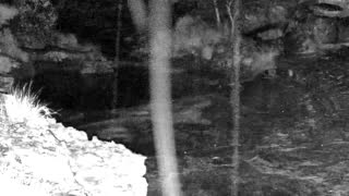 Still 1 from this detection