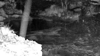Still 2 from this detection