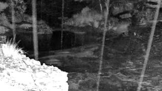 Still 2 from this detection