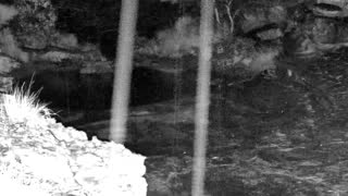 Still 1 from this detection