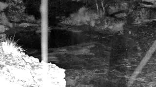 Still 3 from this detection
