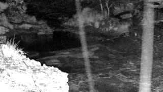 Still 1 from this detection