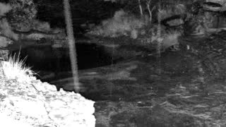Still 3 from this detection