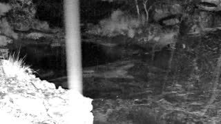 Still 3 from this detection
