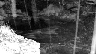 Still 1 from this detection