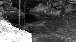 Still 2 from this detection