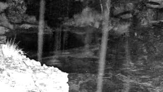 Still 2 from this detection
