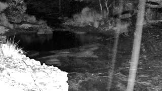 Still 1 from this detection