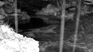 Still 2 from this detection