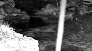 Still 2 from this detection