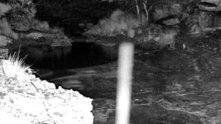Still 2 from this detection