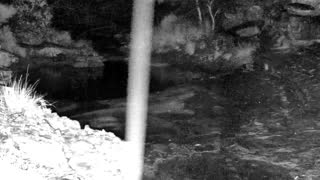 Still 3 from this detection