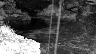 Still 2 from this detection
