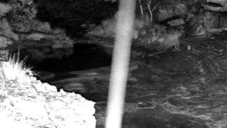 Still 2 from this detection