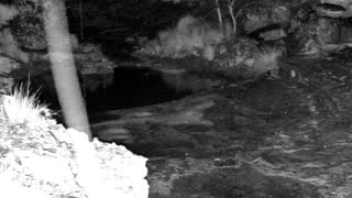 Still 2 from this detection