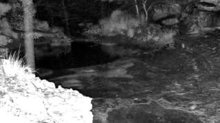 Still 1 from this detection