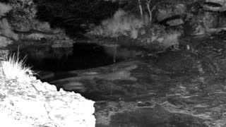 Still 2 from this detection