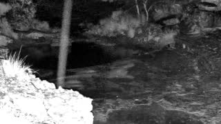 Still 2 from this detection