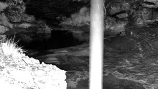 Still 1 from this detection