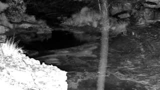 Still 2 from this detection