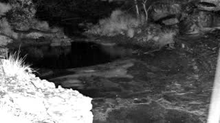 Still 1 from this detection