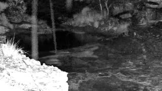 Still 3 from this detection