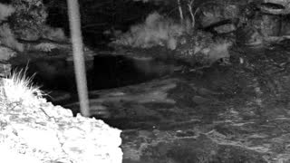 Still 1 from this detection