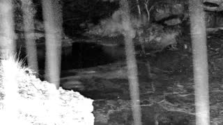 Still 3 from this detection