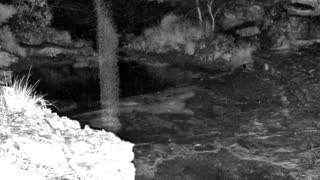 Still 1 from this detection