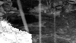 Still 3 from this detection