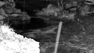 Still 1 from this detection