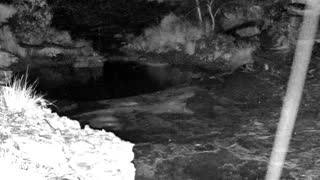 Still 3 from this detection