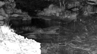 Still 3 from this detection