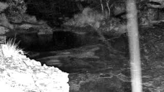 Still 1 from this detection