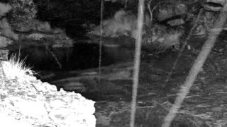 Still 2 from this detection